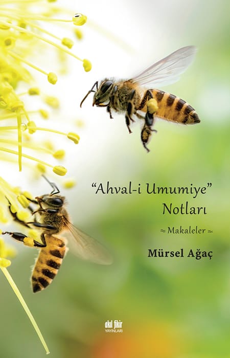 "Ahvâl-i Umumiye" Notları